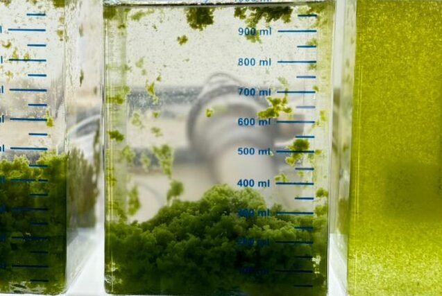 Jar Test sendo realizado para determinar a dosagem ideal de coagulantes e floculantes no tratamento de água industrial.